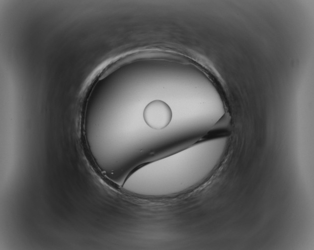 X0000086901504200704161301