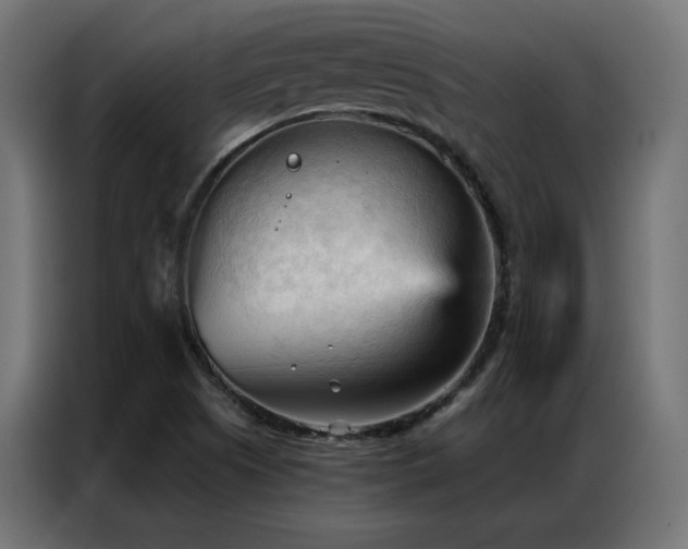 X0000086901505200704161301