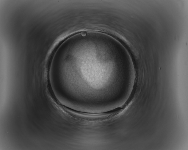 X0000086901506200704161301