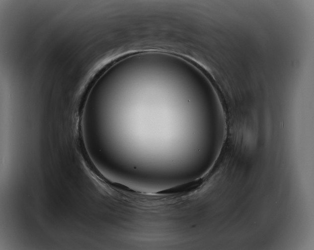 X0000086901507200704161301