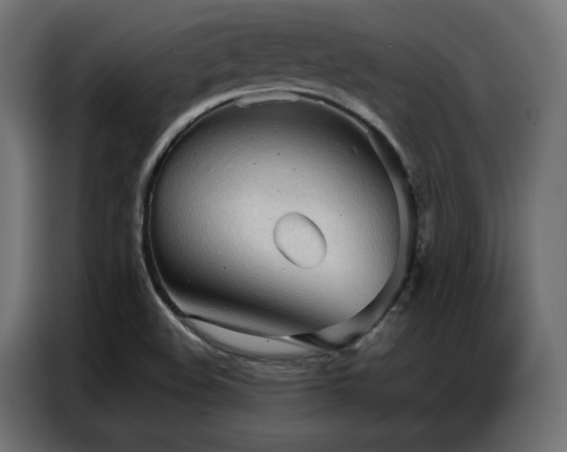 X0000086901508200704161301