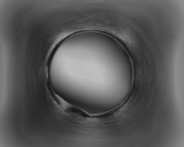 X0000086901509200704161301