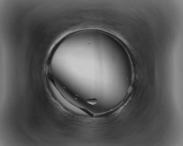 X0000086901510200704161301