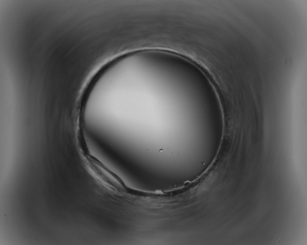 X0000086901511200704161301