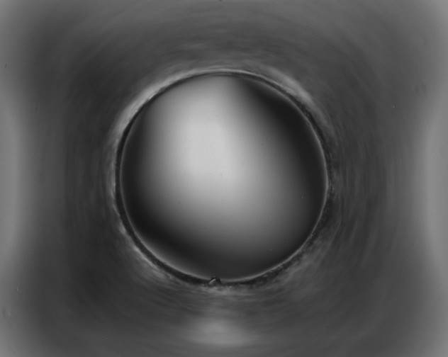 X0000086901512200704161301