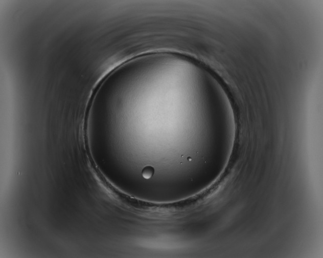 X0000086901513200704161301