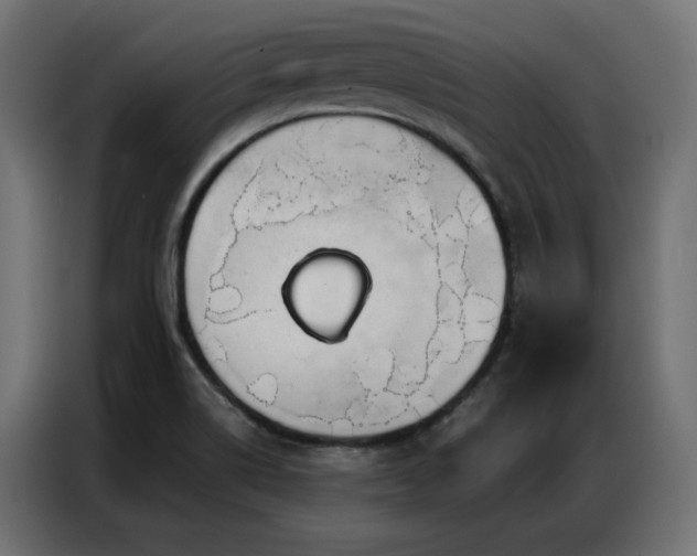 X0000086901514200704161301