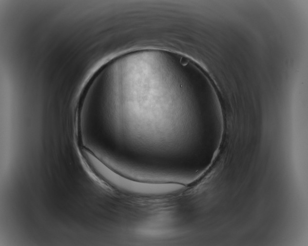 X0000086901515200704161301