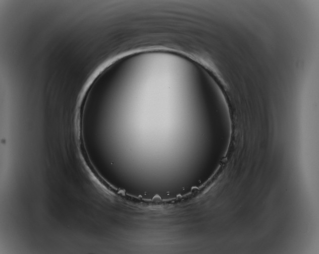 X0000086901516200704161301