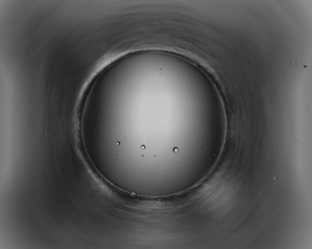 X0000086901517200704161301
