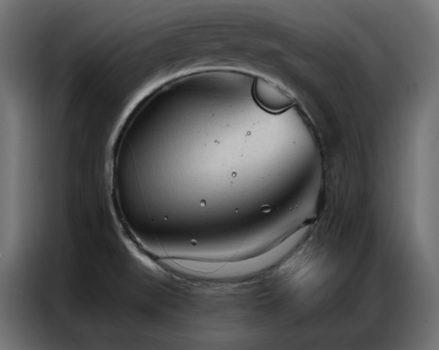 X0000086901519200704161301