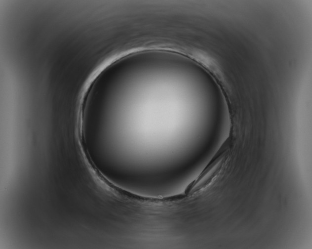 X0000086901520200704161301