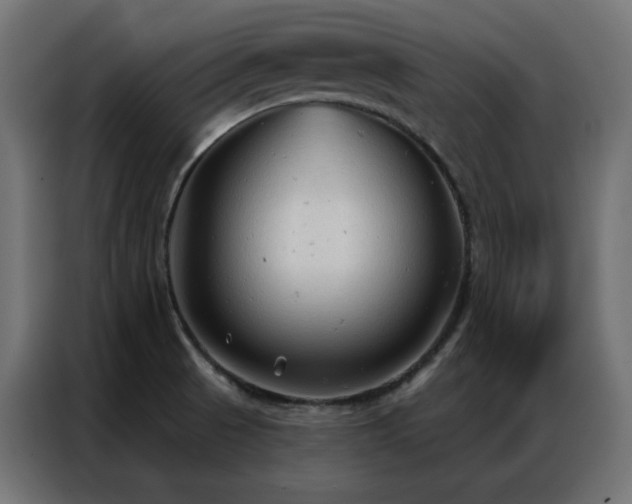 X0000086901521200704161301