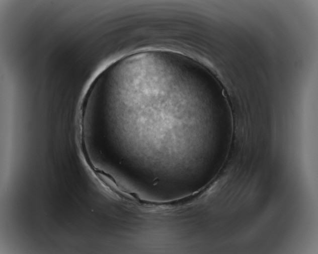 X0000086901522200704161301