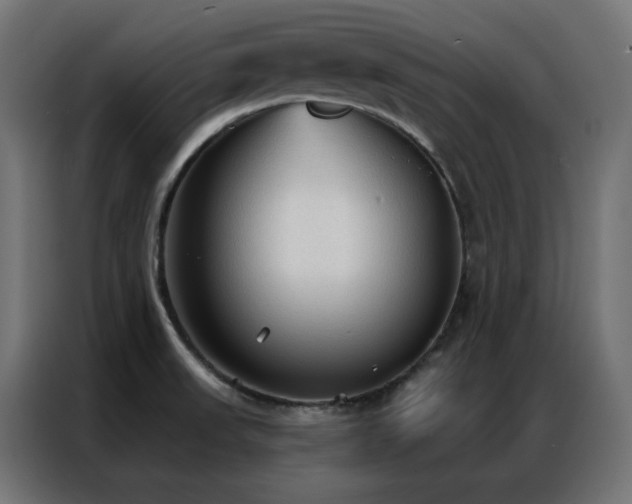X0000086901523200704161301