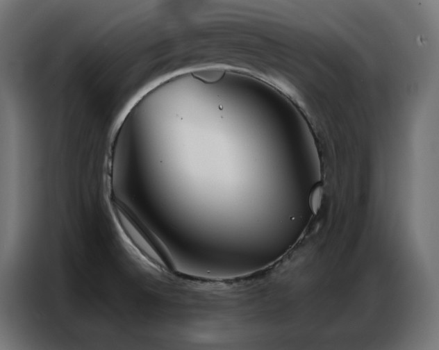 X0000086901524200704161301