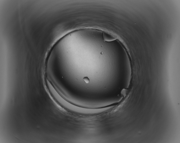 X0000086901525200704161301