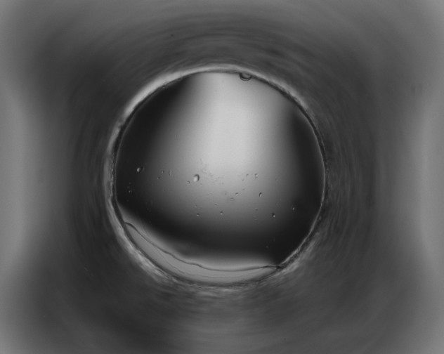 X0000086901526200704161301
