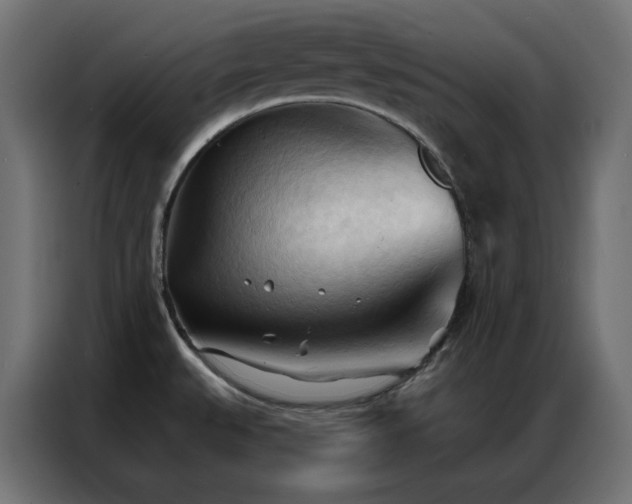 X0000086901527200704161301