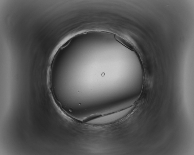 X0000086901528200704161302