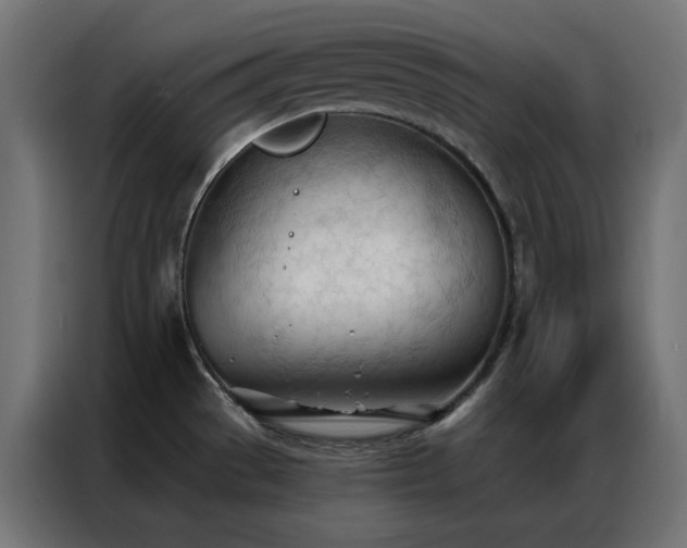 X0000086901529200704161302