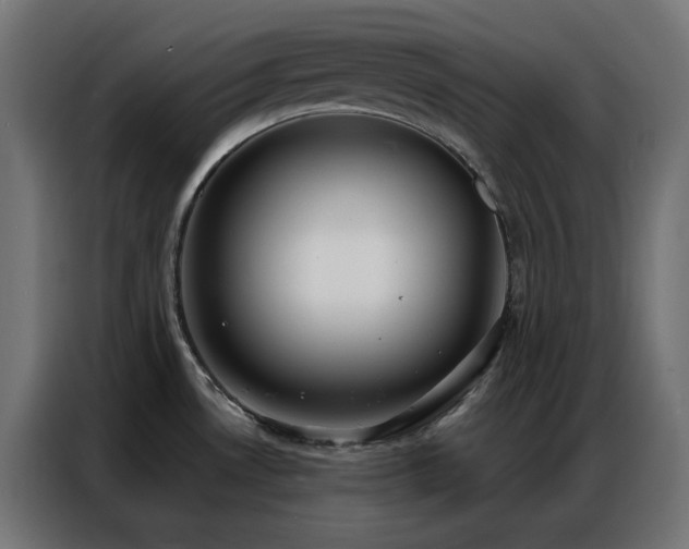 X0000086901530200704161302