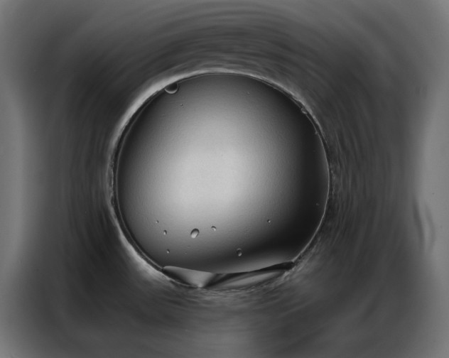 X0000086901531200704161302