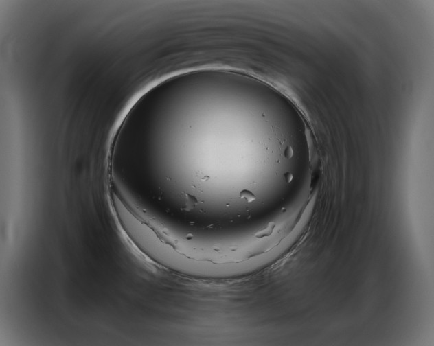 X0000086901532200704161302