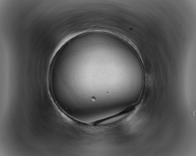 X0000086901533200704161302