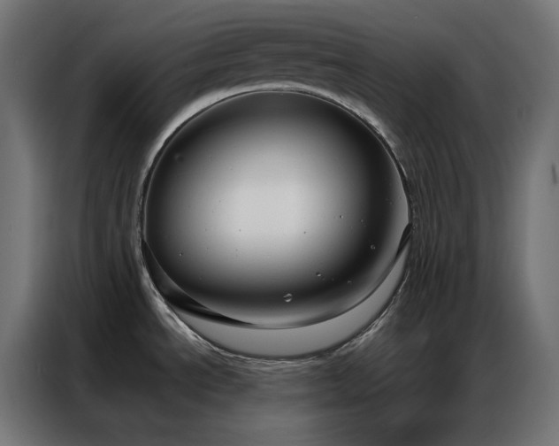 X0000086901534200704161302