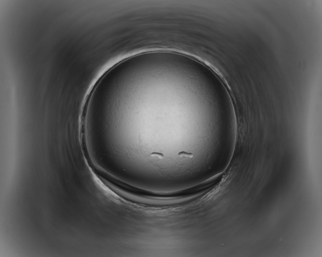 X0000086901535200704161302