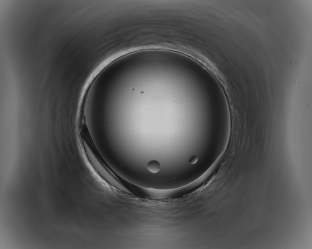 X0000086901536200704161302