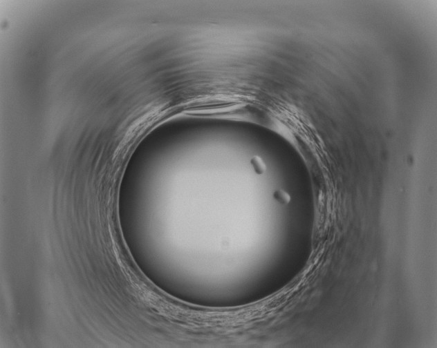 X0000086900001200704231205