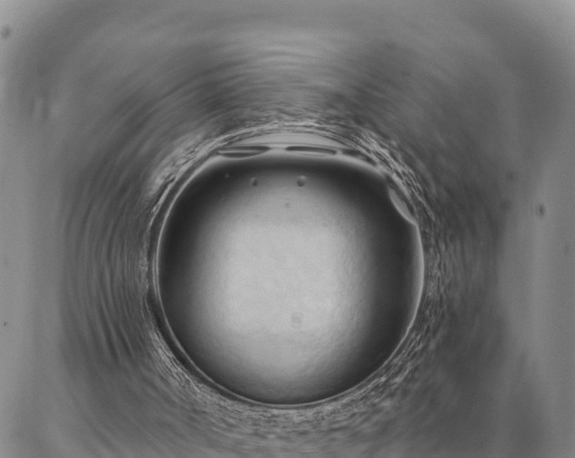 X0000086900002200704231205