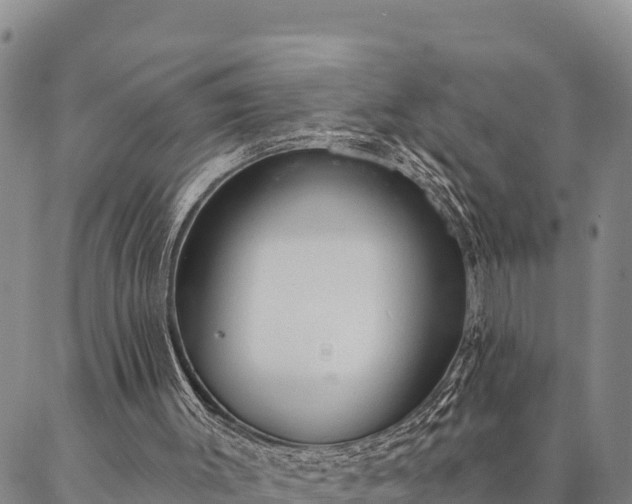 X0000086900003200704231205