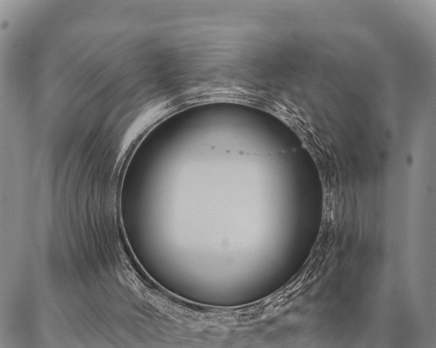 X0000086900004200704231205