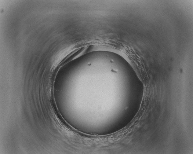 X0000086900005200704231205