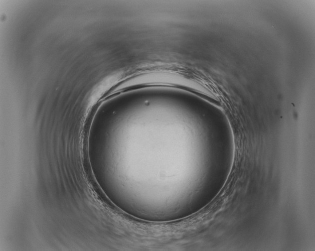 X0000086900006200704231205