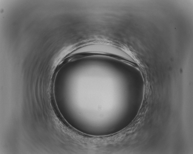 X0000086900007200704231205