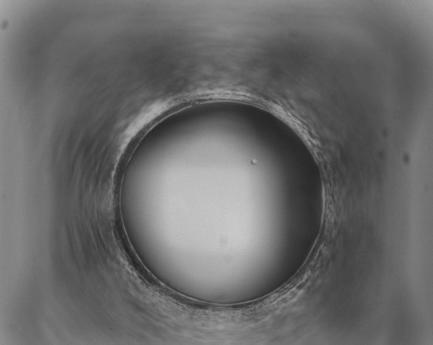 X0000086900008200704231205