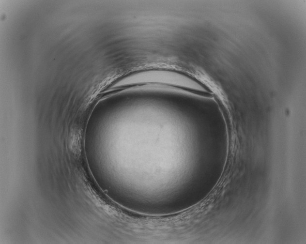 X0000086900009200704231205