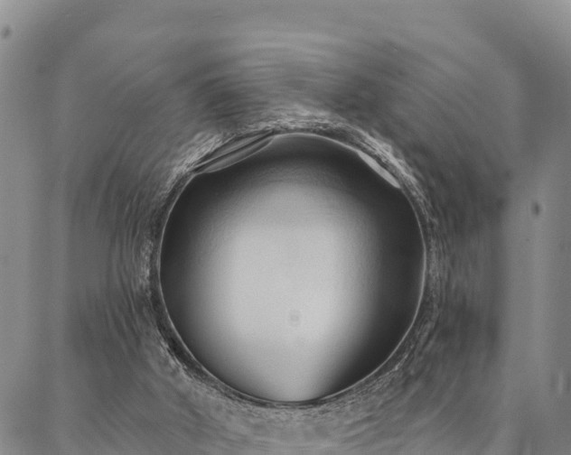 X0000086900010200704231205