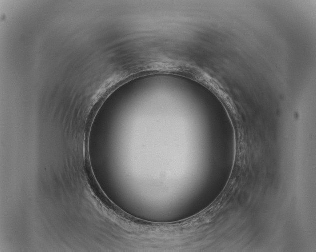 X0000086900011200704231205