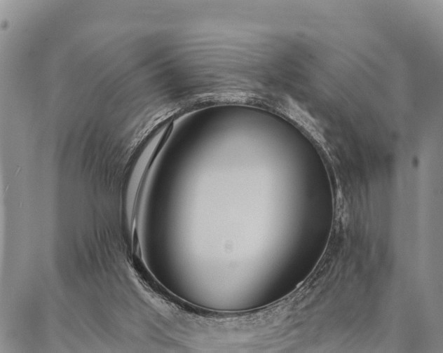 X0000086900013200704231205