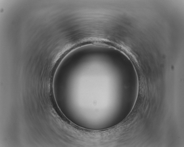 X0000086900015200704231205