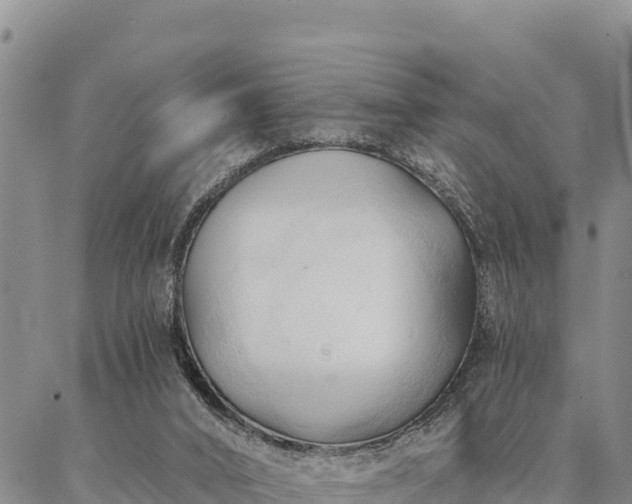 X0000086900016200704231205