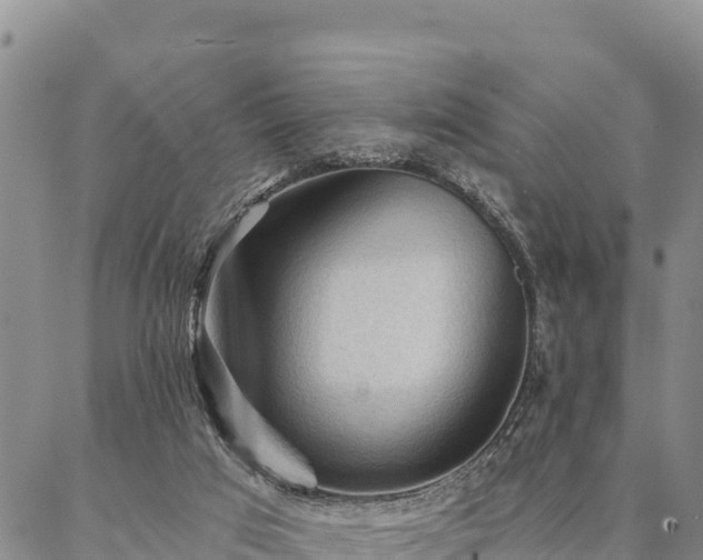 X0000086900017200704231204