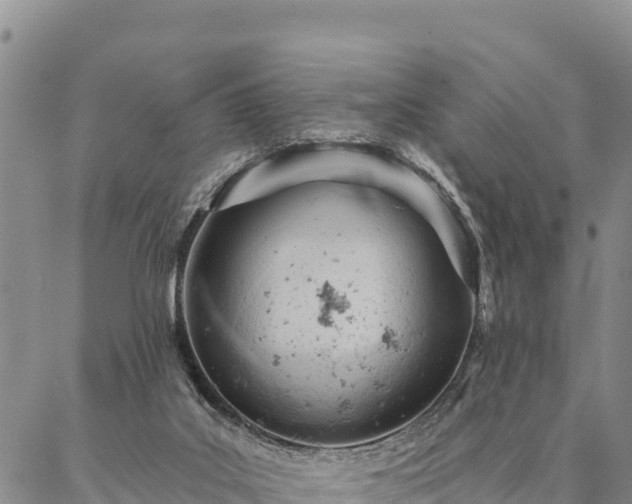 X0000086900019200704231204