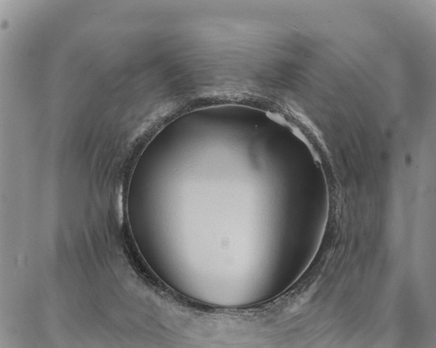 X0000086900020200704231204