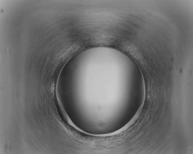 X0000086900021200704231204